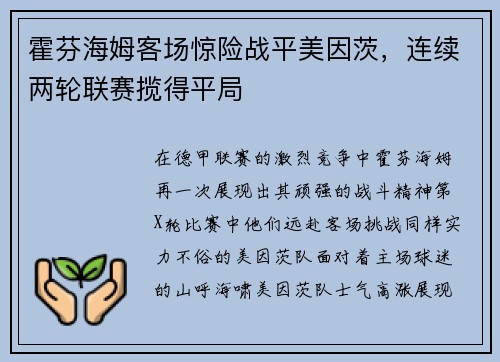 霍芬海姆客场惊险战平美因茨，连续两轮联赛揽得平局